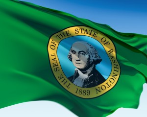 Picture of Washington state flag