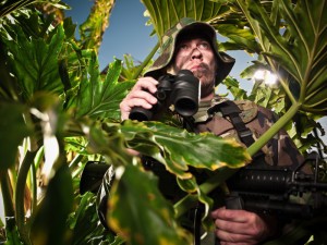 Picture of A soldier in a misty jungle.