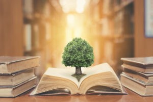 Picture of the tree of knowledge growing out a a book, a photo fro the Bogleheads three fund portfolio blog post
