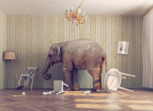 Nearly secret IRS personal wealthy study an elephant in the room?